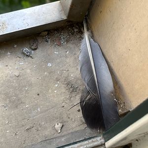 偷玩朋友丰满人妻好紧的亲身经历
