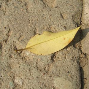 偷玩朋友丰满人妻好紧的亲身经历
