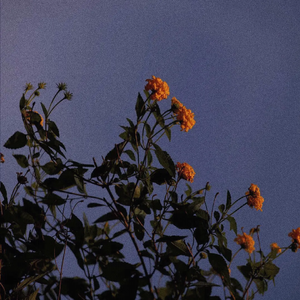 偷玩朋友丰满人妻好紧的亲身经历
